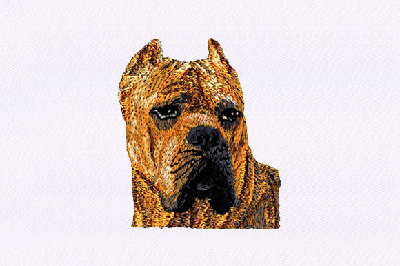 Evaluating the Brown Dog Embroidery Design for Business Merch